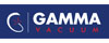 Gamma Vacuum